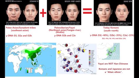 are south east asians genetically similar to east asians